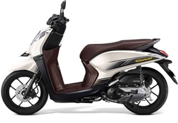 Honda Genio Recent Image